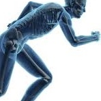 Dr. José Germán Pulido Varela