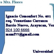 María de los Angeles Martínez Flores