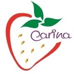 Dr. Carina Balderas Camacho