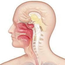 Dr. Elsa Reyes Vargas