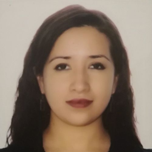 Dr. María del Rocío Carrillo Mancera