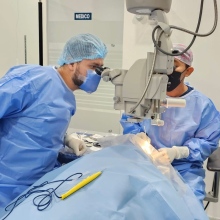 Dr. David Meza Labastida