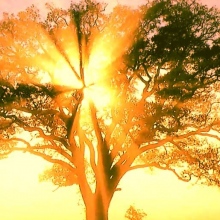 Monica Contreras Lara