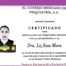 Dr. Liz Sosa Mora
