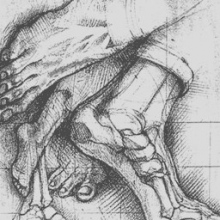 Dr. Efren Martin Baeza Salinas