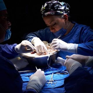 Dr. Laura Portillo Tellez