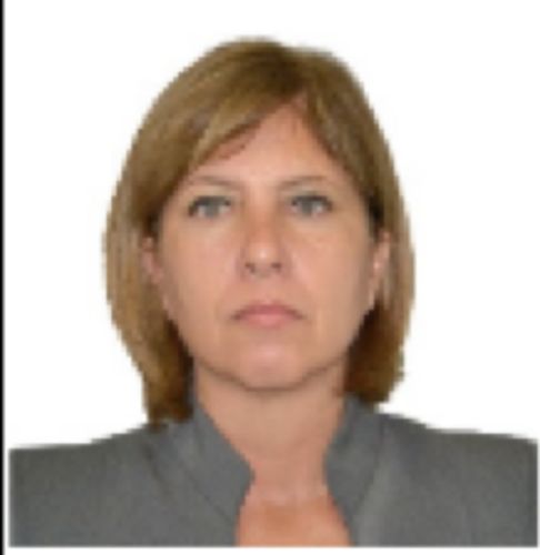 Dr. Ana Guillén Dosal