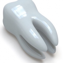 Dr. Brissa Isabel Chaparro Tovar