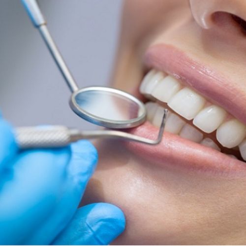 Virginia Sánchez Medina