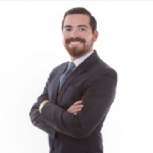 Dr. David Adrian Fernandez Alcaraz