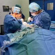 Dr. Sandra Ivette González Domínguez