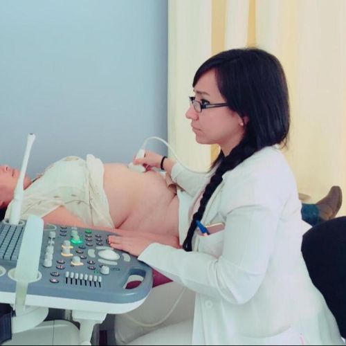 Dr. Dra. Alejandra Alizbeth Gonzalez Carrillo