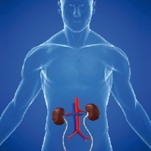 Dr. Alejandro Tepetate Bahena