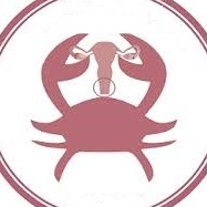 Dr. Margarita Alejandra Vasconcelos Nájera