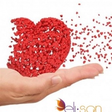 Silvia Vanessa Cruz Ortega