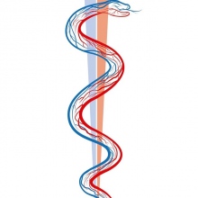 Dr. Fernando Rodriguez Vera