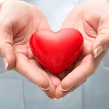 Dr. Karina Vega Cárdenas