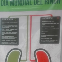 Dr. Ana Esmeralda Perez Alba