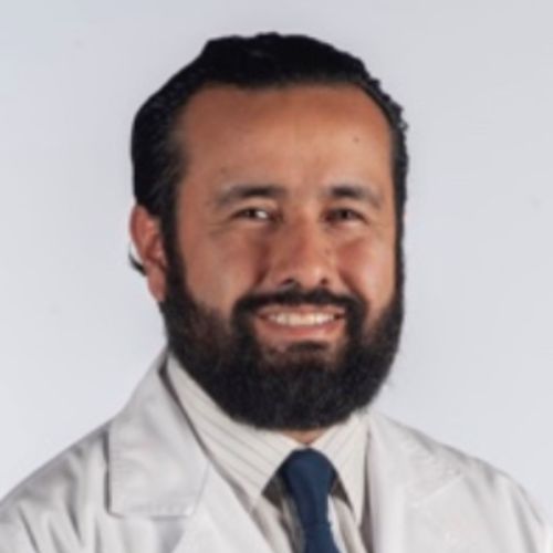 Dr. Luis Ignacio Hoyo Perez