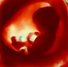 Dr. Francisco Javier Hernandez Machain