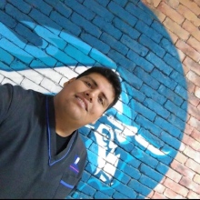 Dr. Diego Fernando Avila Hernández