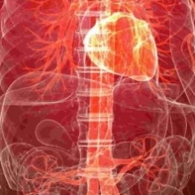 Mario Alberto Pérez Durán