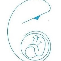 Dr. José Antonio Danel Beltrán