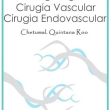 Maria Guadalupe Vera Torres