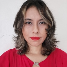 Dr. Arely Alejandra Morales Flores