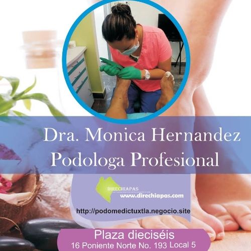 Dr. Esp. Mónica Hernández Ramírez