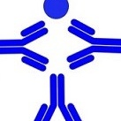 Dr. Salvador Azahel Loredo Alanis