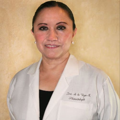 Dr. Teresa De La Vega Mayoral