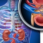 Emilia Cantoral Farfán