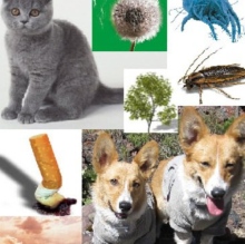 Dr. Eric César Velázquez Rivera