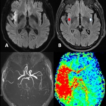 Dr. Katiuzka Casares Cruz