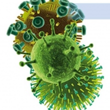 Dr. Yetlanezi Vargas Infante