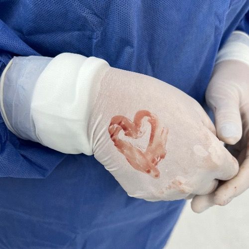 Dr. Jesús Alberto Pérez Gómez