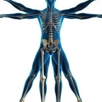 Dr. Oscar Gatica Morales